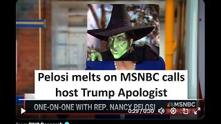 Pelosi melts on MSNBC calls host Trump apologist