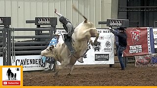 Bull Riding - 2023 ABC Pro Rodeo | Saturday Matinee