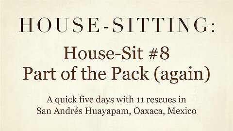 House-Sitting » House-Sit #8 » Part of the Pack! (again) » San Andrés Huayapam, Oaxaca, Mexico