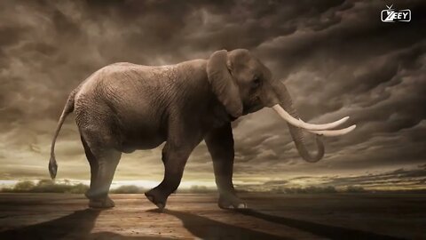 ELEPHANTS COULD BE ABLE TO LIVE IN NORTH AMERICA. - HD | WILD LIFE | ELEPHANT SPECIES