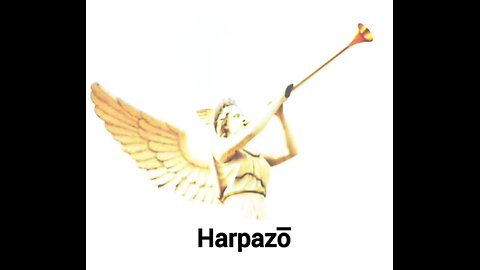HARPAZO