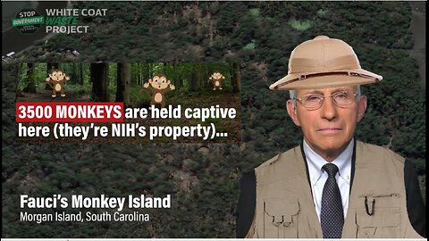 🙉Fauci’s Monkey Island 🙉 3,500 monkeys are held captive here