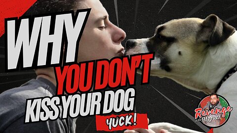 Why you don’t kiss your dog