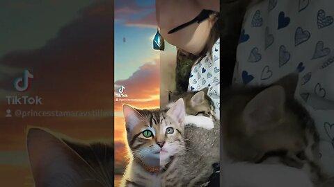 Rescue Kittens TikTok AI