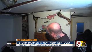 Storms smash ceilings, down trees