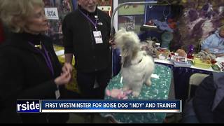 Boise dog trainers go to Westminster