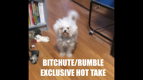 Rumble/Bitchute Hot Take Exclusive: I Don't Need No Civil War!