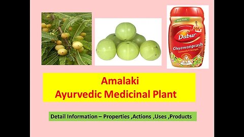 Amalaki l Ayurvedic Medicinal Plant l Properties lActions l Uses l Products l Emblica officinalis