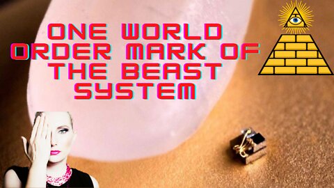 One World Order Mark of The Beast System