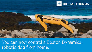You can now control a Boston Dynamics robotic dog from home.