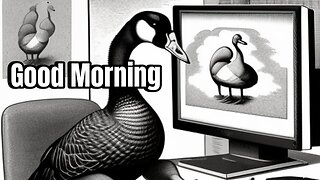 Good Morning (10/11/23)