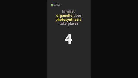 Biology Quiz: In what organelle does photosynthesis take place?