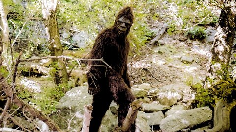 Undeniable Bigfoot Sightings Caught On Camera