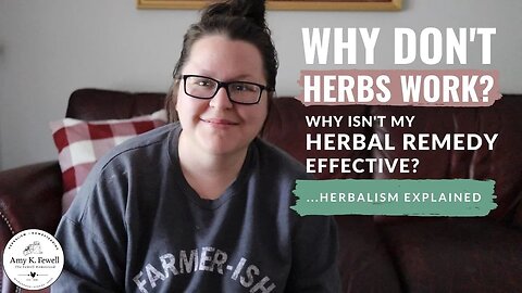 Slow Medicine | How HERBALISM Works Differently Than Pharmaceuticals