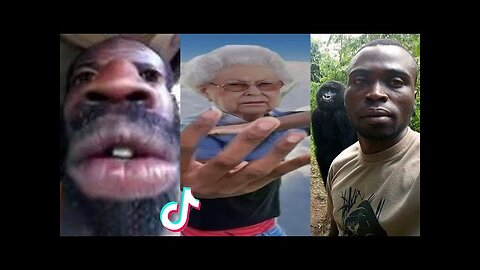 THE FUNNIEST TIK TOK MEMES Of August 2023 | (Try Not To LAUGH) 😂 | #2