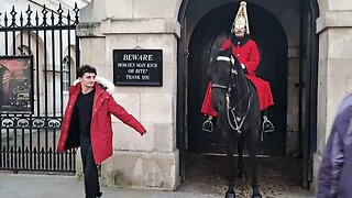 Cocky tourist reads the sign and tells the horse I bite to then s#!+s him self #thekingsguard 🤣 🤣