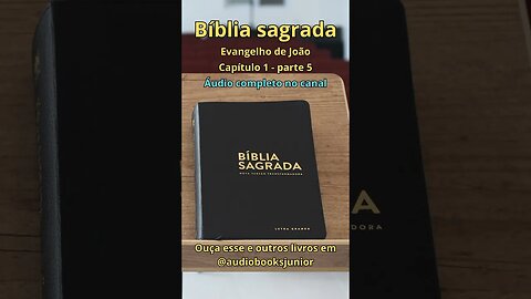 Bíblia Sagrada - Evangelho de João - Capítulo 1 - parte 5