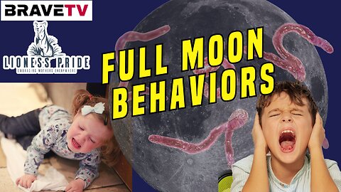 Brave TV - Aug 1, 2023 - Lioness Pride - Full Moon Behaviors