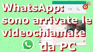 WhatsApp: col nuovo aggiornamento potrai fare le videochiamate dal PC. Tutorial. Spiegato Semplice!