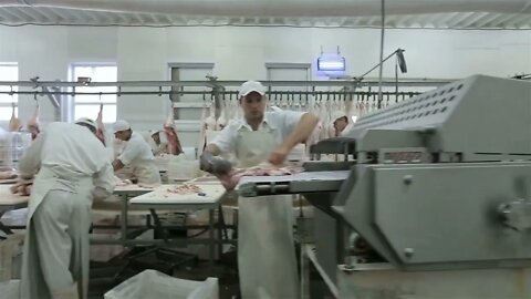 Dolly shot.Butcher Cutting Pork Meat in Meat Factory. Fresh raw pork chops in meat factory. Meat pro