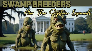 SWAMP BREEDERS - How The Corrupt System Expands (and Protects Itself)