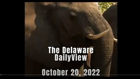 Saudi's Refuse to Capitulate to Biden's Threat. Delaware DailyViews: October 21st, 2022