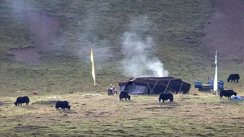 Drokpa Nomads - Tibetan Black Tent