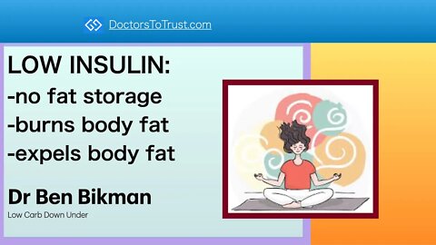 BIKMAN6 LOW INSULIN: no fat storage; burns body fat; expels body fat