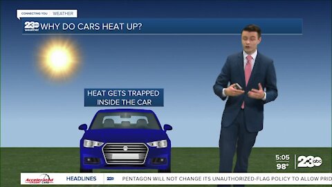 National hot car deaths and what happens to vehicles in the sun