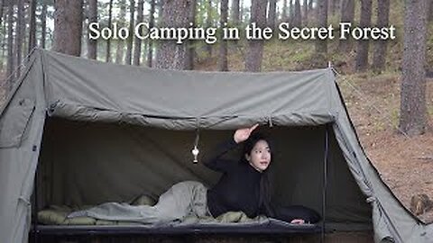 Who Showed Up during Solo Camping in the Secret Forest? | Camping ASMR (with. cute rabbit)