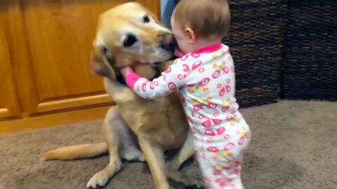 Adorable kids playing with dogs and cats - funny kids compilation