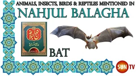 Bat - Animals, Insects, Reptiles & Amphibians in Nahjul Balagha (Peak of Eloquence)#imamali