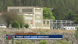 Pacific Northwest tribes: Remove Columbia River dams