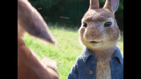 Peter rabbit comedy movie clip