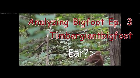 Analyzing Bigfoot Ep. 3 - Timbergiantbigfoot Giant Revealed