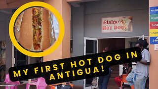 Trying a Hot Dog in Antigua for the first time! | NYC Hot Dog Stands