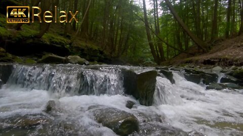 Water Fall Sounds - Ambient Solitude