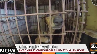 MCSO investigating animal cruelty case at East Valley home