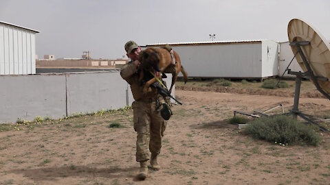 K-9 EOD training