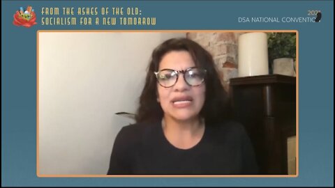 Rep Tlaib Claims People “Behind the Curtain” Exploit Palestinians