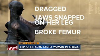 Florida woman attacked by hippo after canoe capsizes on Zimbabwe wildlife tour