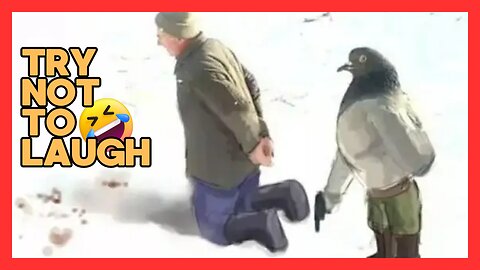 try not to laugh, unusual memes compilation #10