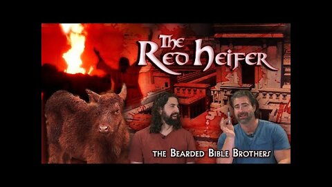 Joshua and Caleb discuss - The Red Heifer