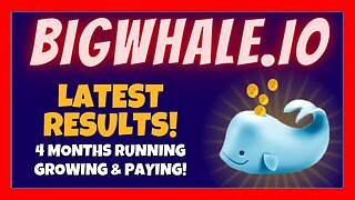 BIGWHALE IO Review 🚀 NEW Income Reports 📈 4 Months Running / Growing & Paying 💰