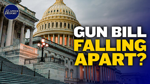 Bi-partisan Gun Bill Meets Resistance; Fundamental Causes of Economic Downturn | Trailer