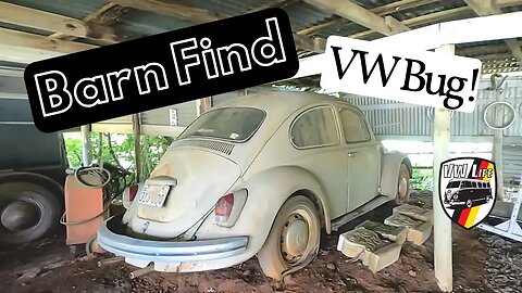Hunting for Vintage Volkswagens!