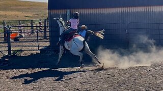 When a Good Horse Gets Mischievous: A Surprise Performance