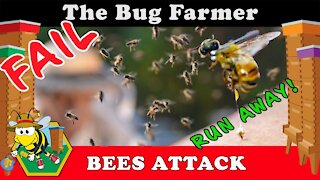 FUNNY FAIL - 23 BEE STINGS IN UNDER A MINUTE!