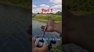 #bassfishing #fishing #pondfishing I caught three fish in a row