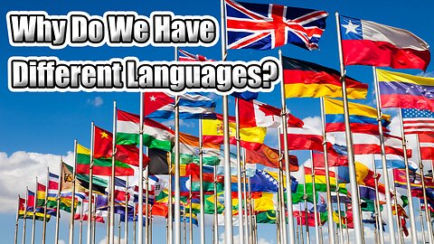Why do we have different languages?